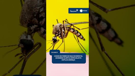 ⚠️ Febre do Nilo Ocidental preocupa após confirmação de casos e morte no Brasil | #CidadeAL