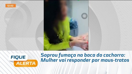 Soprou fumaça na boca do cachorro: Mulher vai responder por maus-tratos