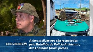 Animais silvestres são resgatados pelo Batalhão de Polícia Ambiental; duas pessoas foram presas
