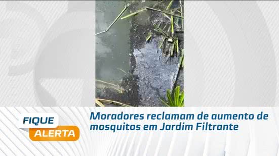 Moradores reclamam de aumento de mosquitos em Jardim Filtrante