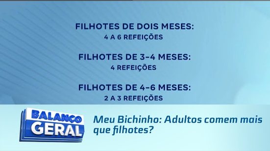 Meu Bichinho: Adultos comem mais que filhotes?