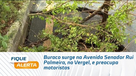 Buraco surge na Avenida Senador Rui Palmeira, no Vergel, e preocupa motoristas