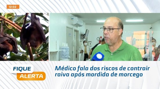 Médico fala dos riscos de contrair raiva após mordida de morcego