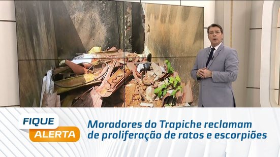 Moradores do Trapiche reclamam de proliferação de ratos e escorpiões