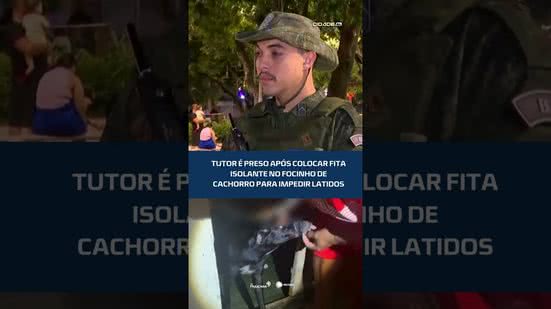 #CidadeAL | Cachorro é encontrado com focinho preso por fita isolante; tutor é preso por maus-tratos