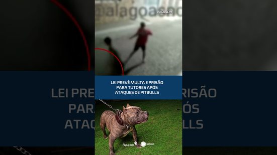 Ataques de pitbulls podem levar tutores à prisão #CidadeAL
