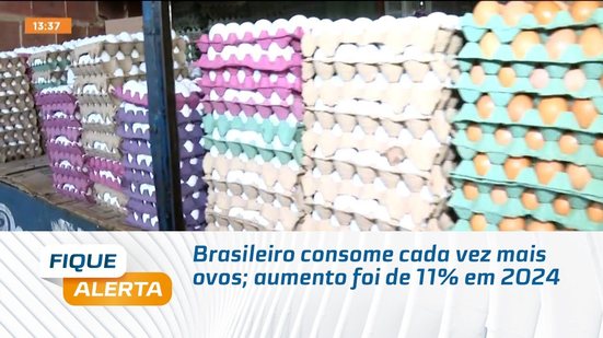 Brasileiro consome cada vez mais ovos; aumento foi de 11% em 2024