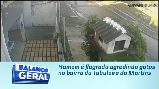 Homem é flagrado agredindo gatos no bairro do Tabuleiro do Martins