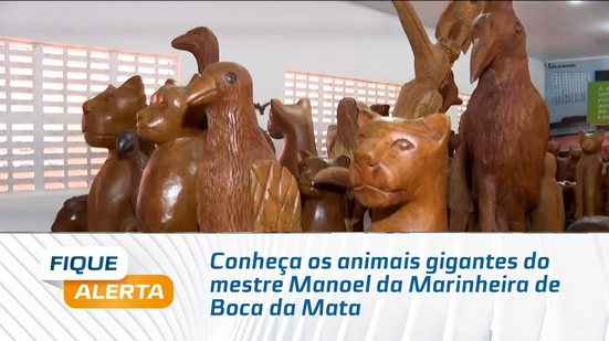 Conheça os animais gigantes do mestre Manoel da Marinheira de Boca da Mata
