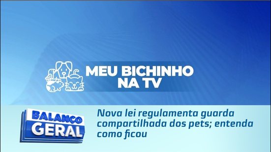 Nova lei regulamenta guarda compartilhada dos pets; entenda como ficou