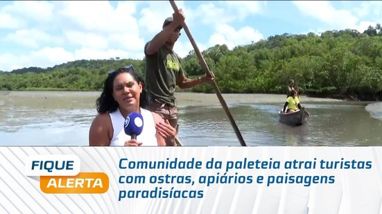Comunidade da paleteia atrai turistas com ostras, apiários e paisagens paradisíacas