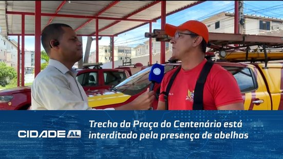 Trecho da Praça do Centenário está interditado pela presença de abelhas