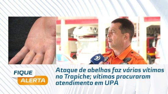 Ataque de abelhas faz várias vítimas no Trapiche; vítimas procuraram atendimento em UPA