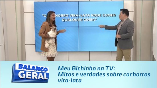 Meu Bichinho na TV: Mitos e verdades sobre cachorros vira-lata