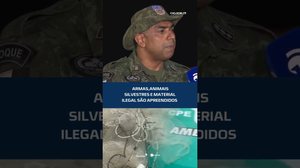 Operação em Alagoas apreende armas e animais silvestres #CidadeAL