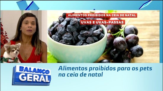 Alimentos proibidos para os pets na ceia de natal