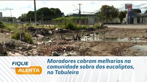 Moradores cobram melhorias na comunidade sobra dos eucaliptos, no Tabuleiro