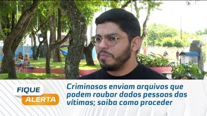 Criminosos enviam arquivos que podem roubar dados pessoas das vítimas; saiba como proceder