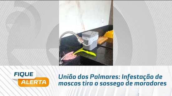 União dos Palmares: Infestação de moscas tira o sossego de moradores