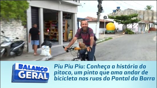 Conheça a história do pitoco, um pinto que ama andar de bicicleta nas ruas do Pontal da Barra