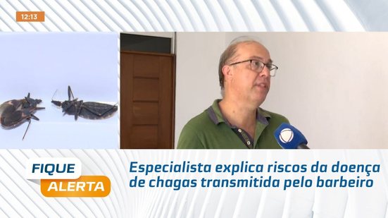 Especialista explica riscos da doença de chagas transmitida pelo barbeiro