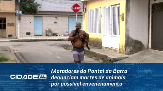 Moradores do Pontal da Barra denunciam mortes de animais por possível envenenamento