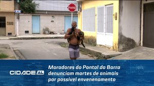 Moradores do Pontal da Barra denunciam mortes de animais por possível envenenamento