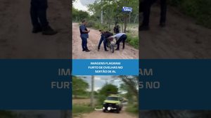 Câmeras registram rebanho sendo furtado; suspeito é identificado #BalançoGeralAL