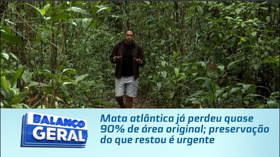 Mata atlântica já perdeu quase 90% de área original; preservação do que restou é urgente