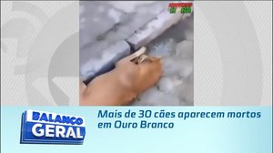 Mais de 30 cães aparecem mortos em Ouro Branco