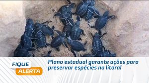 Plano estadual garante ações para preservar espécies no litoral