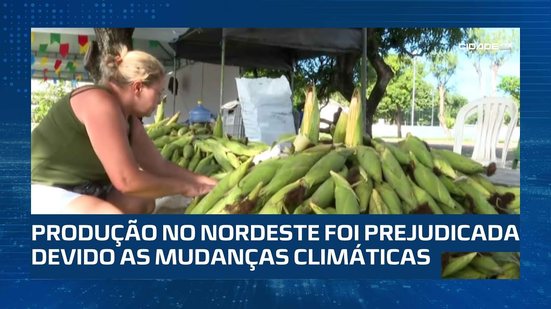 Mão de milho pode chegar a R$ 80,00 em Maceió
