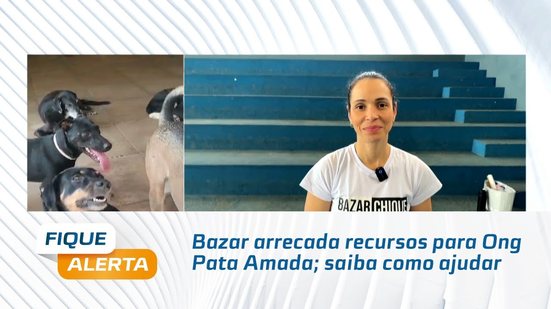 Bazar arrecada recursos para Ong pata Amada; saiba como ajudar Leandro