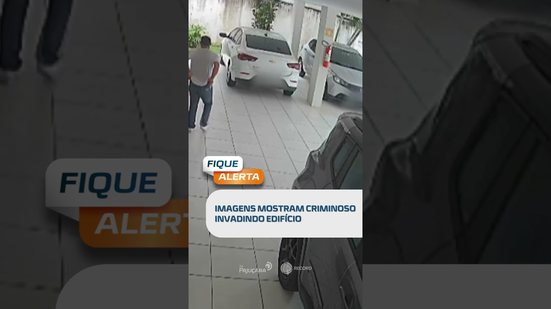 🗞️ DESTAQUES: Criminoso invade edifício e é flagrado por câmeras. #fiquealerta
