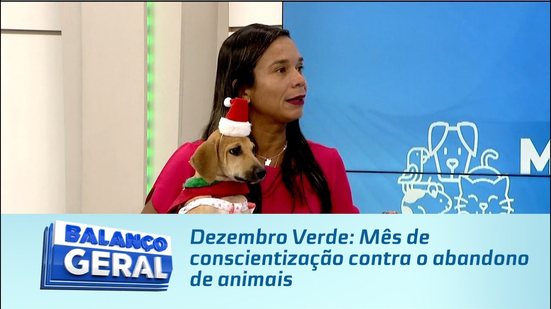 Dezembro Verde: Mês de conscientização contra o abandono de animais