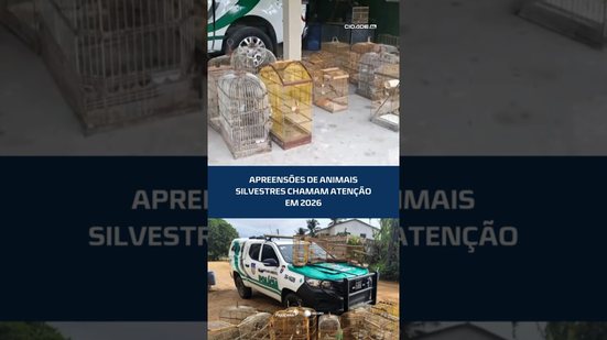 Mais de 3 mil animais silvestres são apreendidos no estado #CidadeAL
