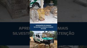 Mais de 3 mil animais silvestres são apreendidos no estado #CidadeAL