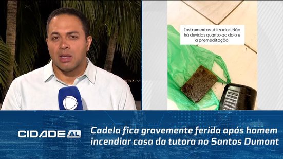 Cadela fica gravemente ferida após homem incendiar casa da tutora no Santos Dumont