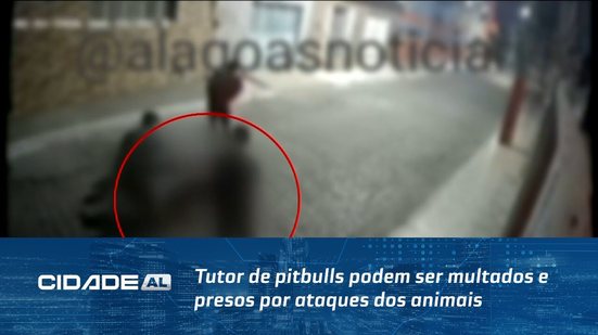 Tutor de pitbulls podem ser multados e presos por ataques dos animais