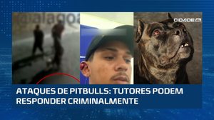 Lei prevê multa e prisão para tutores em casos de ataques de pitbulls #CidadeAL