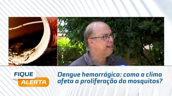 Dengue hemorrágica: como o clima afeta a proliferação do mosquitos?