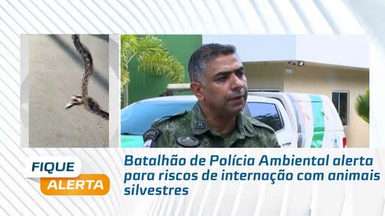 Batalhão de Polícia Ambiental alerta para riscos de internação com animais silvestres