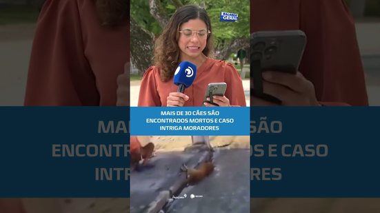 🚨Mistério em Ouro Branco: mortes em série de cães mobilizam investigação #BalançoGeralAL