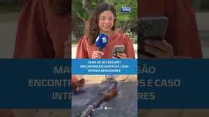 🚨Mistério em Ouro Branco: mortes em série de cães mobilizam investigação #BalançoGeralAL