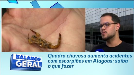 Quadra chuvosa aumenta acidentes com escorpiões em Alagoas; saiba o que fazer