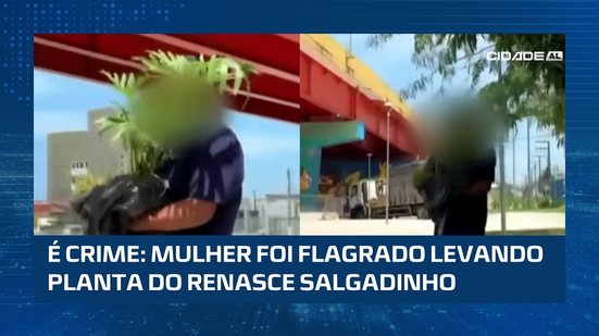Cena chama atenção: senhora leva muda de planta do Renasce Salgadinho