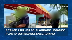 Cena chama atenção: senhora leva muda de planta do Renasce Salgadinho
