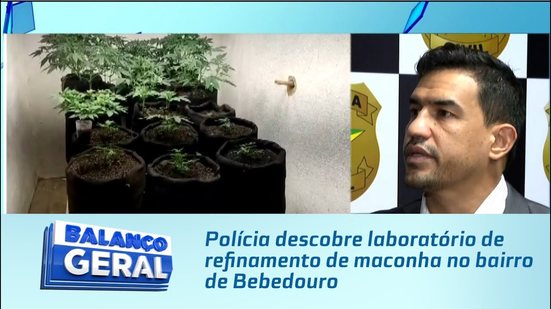 Polícia descobre laboratório de refinamento de maconha no bairro de Bebedouro