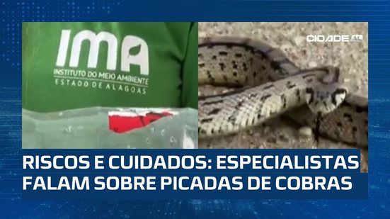 Saiba os Riscos e Cuidados: Quase 100 pessoas foram picadas por cobras em Maceió em 2024