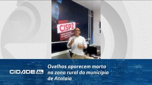Ovelhas aparecem morta  na zona rural do município de Atalaia